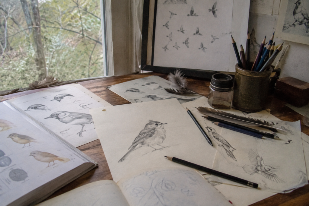 Illustration of a bird artist's desk